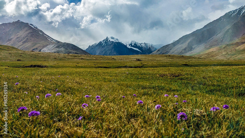 Breathtaking Views of Shimshal Pass in the Pamir Mountains. Shimshal Valley is a remote and breathtakingly beautiful area known for its high-altitude landscapes, rugged mountains, and many more.