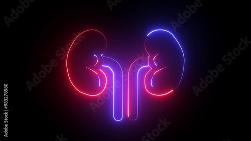 Glowing red and blue  neon line Human kidneys icon isolated on dark background. Neon human kidneys icon in line style, Urinary system part symbol, photo