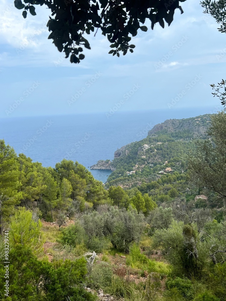 Obraz premium MALLORCA beaches travel towns markets formentera menorca spain