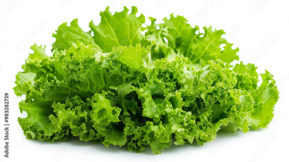 Lettuce Salad leaves isolated on white background Lettuce Salad leaves isolated on white background