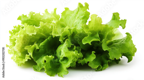 Lettuce Salad leaves isolated on white background