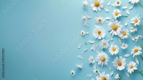 Floral frame background of Plain light blue paper structure background with blank copy space in the middle, on top of the background are smller and bigger daisy blossoms scatterd arround photo