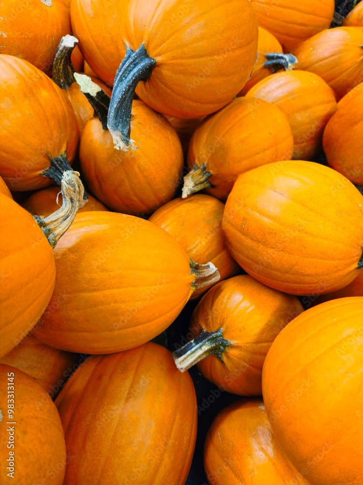 closeup of piles of pumpkins on the market closeup of piles of pumpkins on the market
