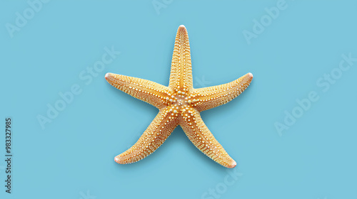 A starfish on a blue background.