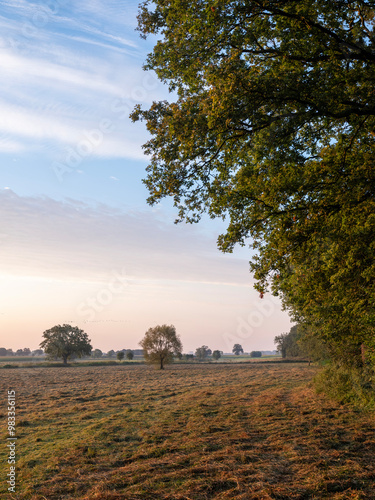 countryside between boxmeer and maashees in noord-brabant at sunrise photo