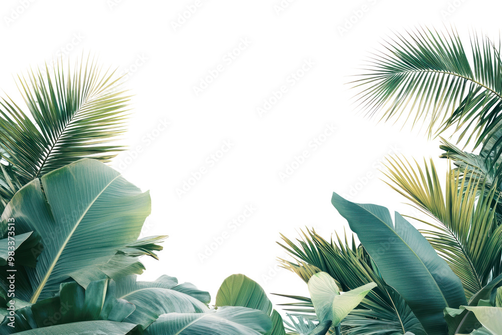 Fototapeta premium PNG Tropical leaves against white background