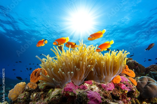 Fototapeta Naklejka Na Ścianę i Meble -  Coral reef teeming with life, with fish darting through the colorful corals and creating a lively, bustling scene