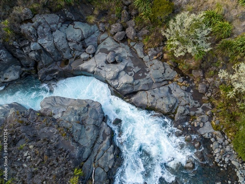 Native bush and river of the Mahuia Rapids, Turangi-Tongariro National Park, Manawatu-Wanganui, New Zealand. photo