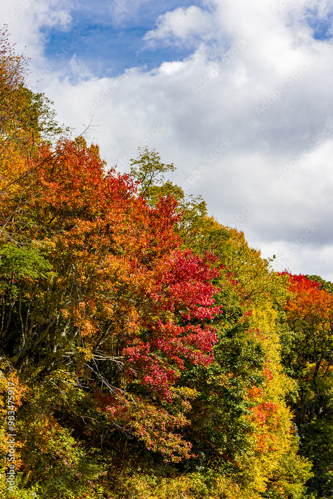 Beautiful autumn colors of the Blue Ridge Mountains in Tennessee. Beautiful autumn colors of the Blue Ridge Mountains in Tennessee.