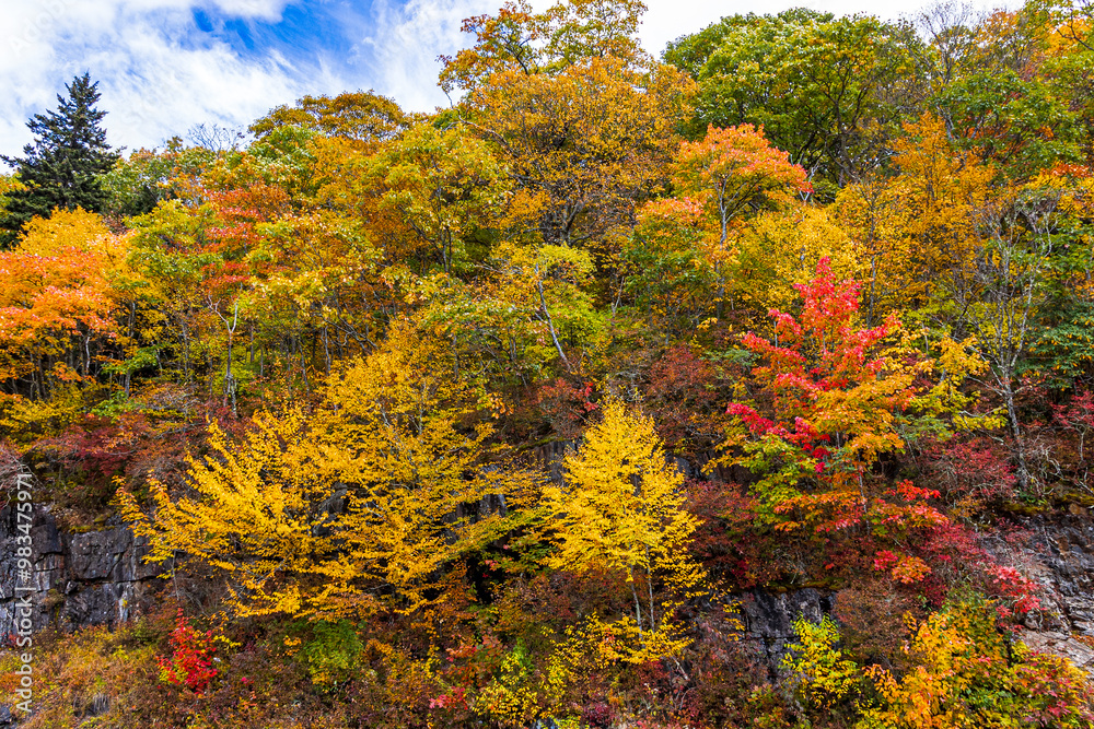 Beautiful autumn colors of the Blue Ridge Mountains in Tennessee. Beautiful autumn colors of the Blue Ridge Mountains in Tennessee.