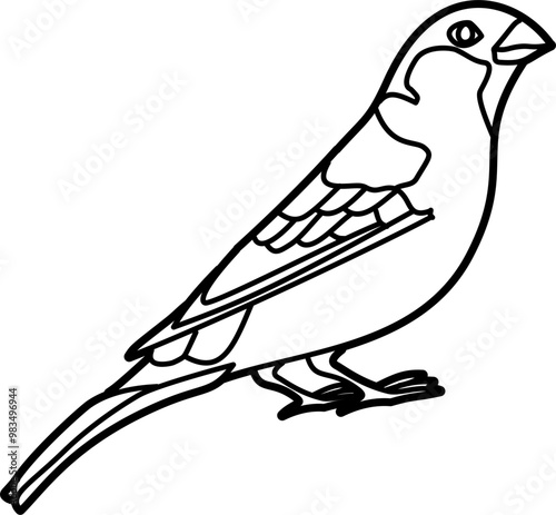 Sparrow bird coloring outline illustration vector