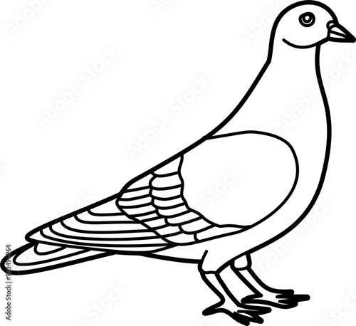 Pigeon bird coloring outline illustration vector
