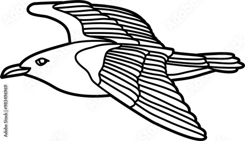 Seagull bird coloring outline illustration vector