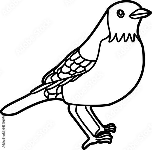 Robin bird coloring outline illustration vector