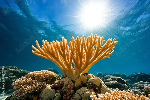 Towering coral pillars, stretching upwards towards the surface, covered in vibrant, colorful marine growth photo