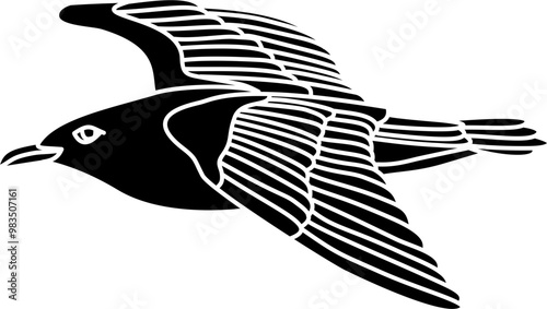 Seagull bird illustration vector