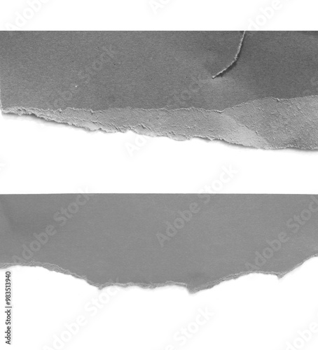 Torn rip paper texture on white background.