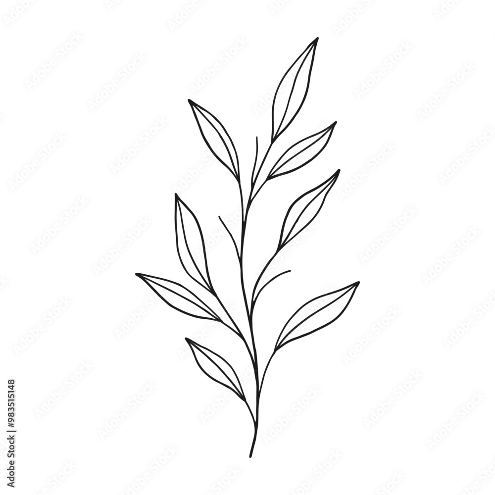Vector outline branch with leaves.Simple design element for botany emblem.Organic logo template.Hand drawn floral illustration for prints,flyers,banners,wedding,invitations,clipart. Vector outline branch with leaves.Simple design element for botany emblem.Organic logo template.Hand drawn floral illustration for prints,flyers,banners,wedding,invitations,clipart.
