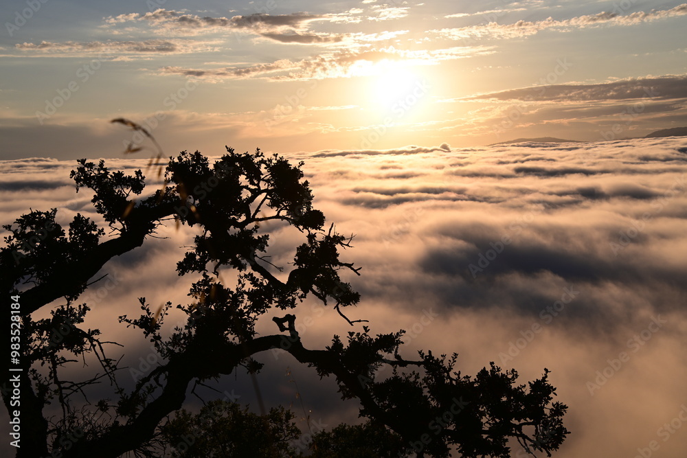Fototapeta premium sunset on the clouds
