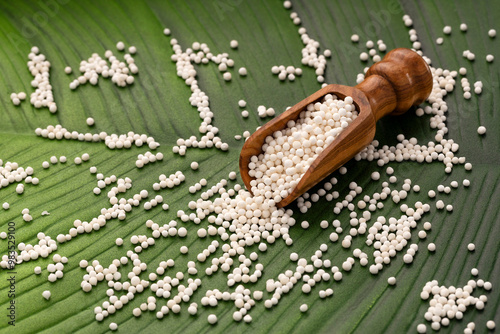 Starch tapioca pearls on the spoon - Manihot esculenta. photo