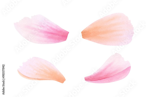 Set of orange, pink, coral or peach petals on isolated background. Hand drawn watercolor botanical illustration. Clipart for design, cards, labels, invitations, congratulations, packaging, printing