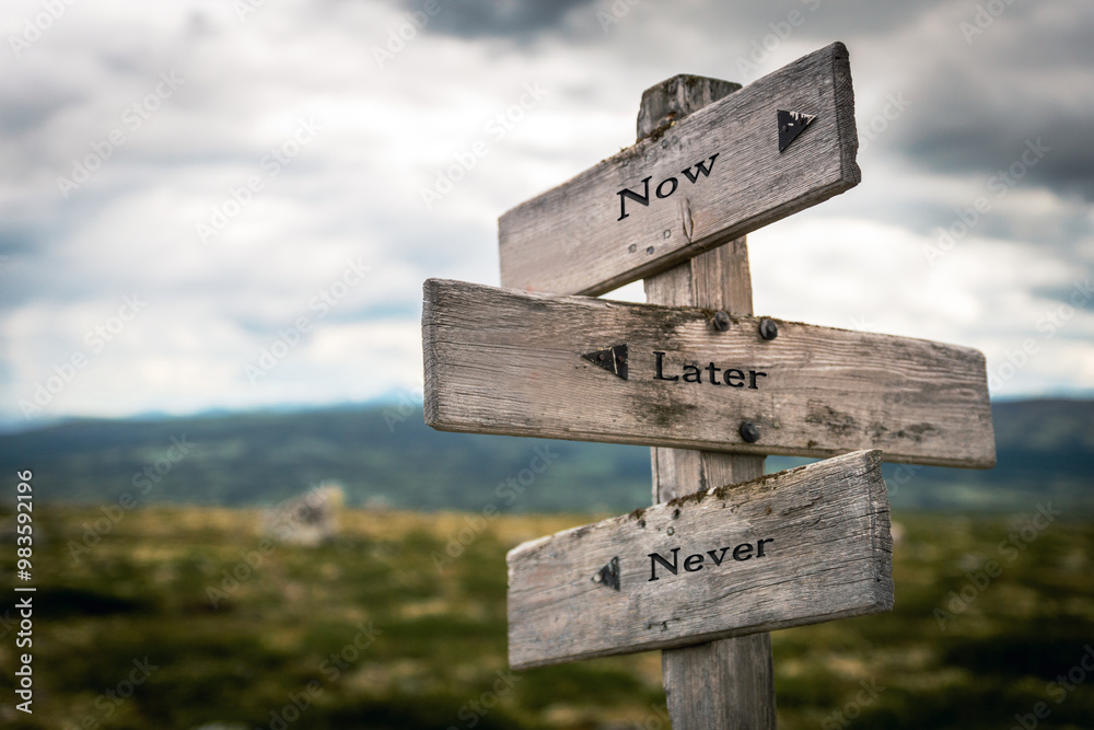 now later never text quote on wooden directional signpost outdoors in nature now later never text quote on wooden directional signpost outdoors in nature