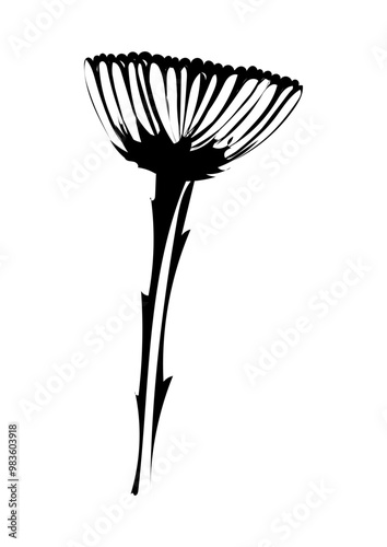Blume