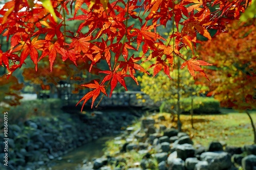 A serene landscape showcasing vibrant autumn leaves near a tranquil stream and bridge.