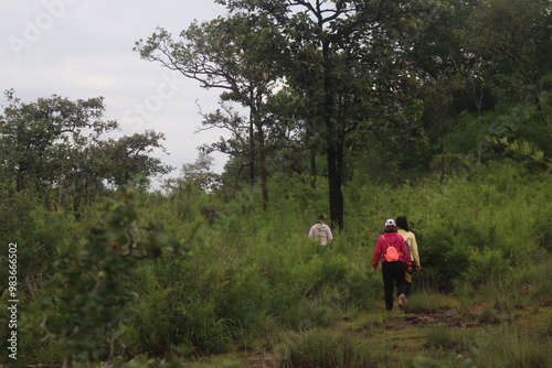 couple walking in the woods Hikers, nature tourism, beautiful, big, rich forest