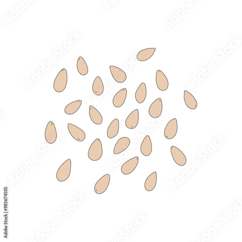 sesame, Illustration of vegetable, isolated, icon illustration photo