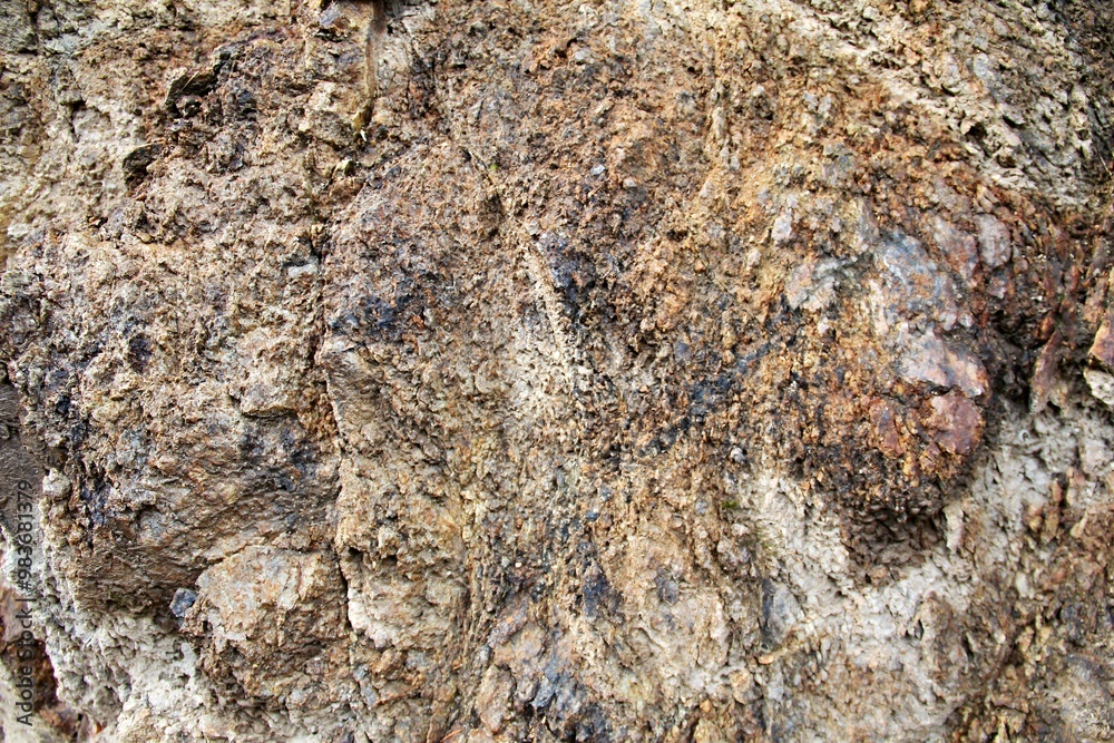 Fossilized footprint embedded in rocky surface, showcasing ancient life. Fossilized footprint embedded in rocky surface, showcasing ancient life.