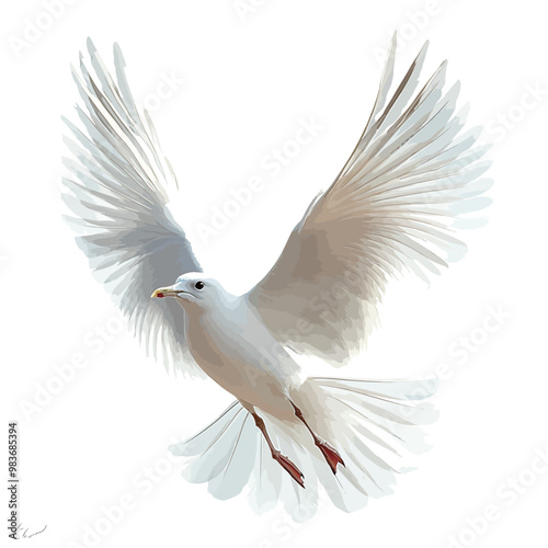 White seagull flying isolated on white background with clipping path.