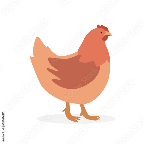 Chicken hen simple vector illustration. Hen female chicken cartoon clipart, animal in flat style. Farm animals concept, rural farming. Livestock poultry hen vector design isolated on white background