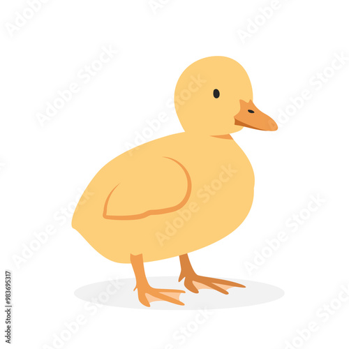 Baby duck duckling vector illustration. Cute yellow duckling cartoon clipart, animal in flat style. Farm animals concept, rural farming. Livestock poultry baby duck vector design isolated on white