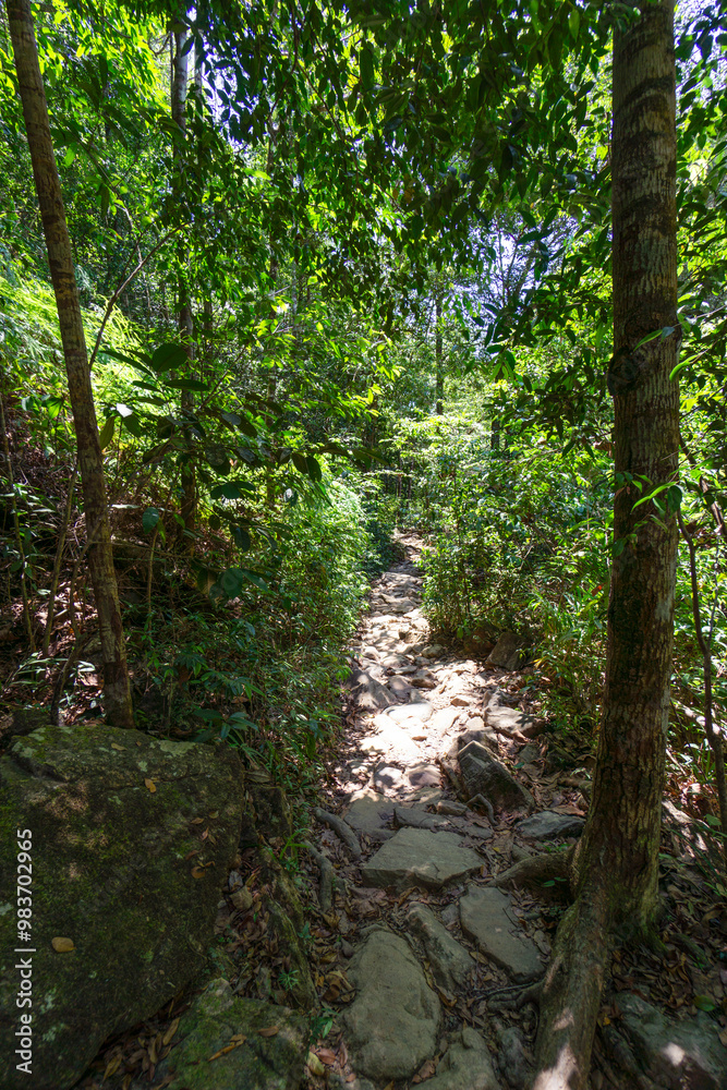 Nature reserve with its rocky walks and native trees and animals with small water deposits creating havens for wildlife Nature reserve with its rocky walks and native trees and animals with small water deposits creating havens for wildlife