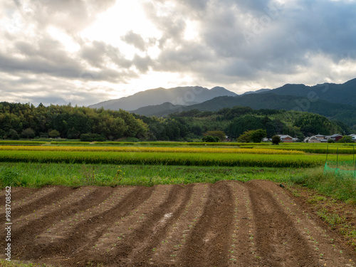 明日香村に広がる畑と田んぼの風景 