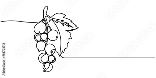 Black currant vector illustration. One line art drawing with organic black currant, Blackcurrant in continuous line drawing style. Group of blackcurrant fruits with leaves on a white background.