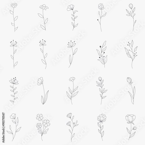 flower in hand drawn style. bloom and floral black and white. Illustration for the Valentine's day, wedding decor, logo and identity template.