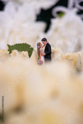 Bride and Groom Wedding Cake