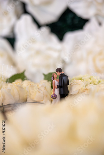 Bride and Groom Wedding Cake