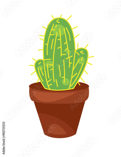 cactus in flower pot