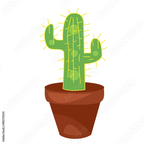 cactus in flower pot