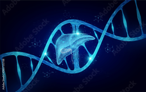 Liver DNA gene cell double helix blue. Anatomy organ glowing polygonal. Genetic synthetic biology combined. Code analysis thymine, adenine, guanine, cytosine. Medical science background vector.