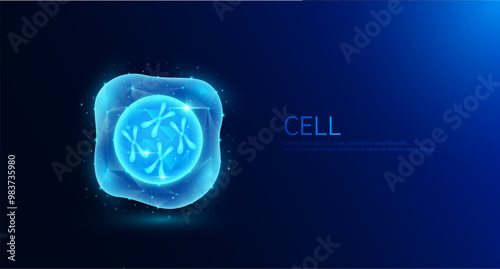 Chromosome DNA in nucleus cell. Gene double helix blue glowing polygonal. Genetic synthetic biology combined. Code analysis thymine, adenine, guanine, cytosine. Medical science background vector.