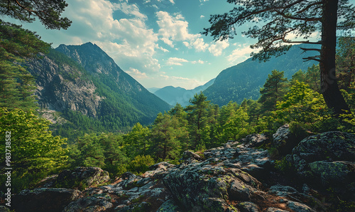 Beautiful mountain view with forests and rocks photo