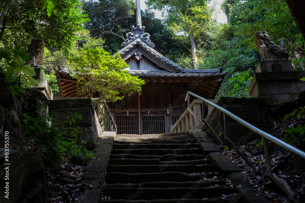 鎌倉249 八幡神社3 鎌倉249 八幡神社3