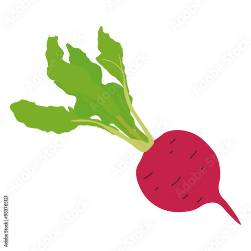 Red turnip vegetables icon vector illustration