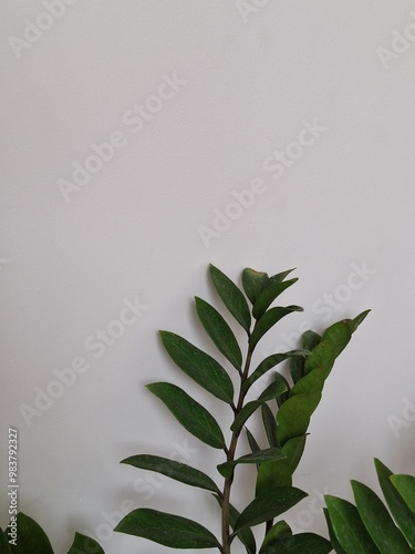 A straight green branch placed against a smooth grey concrete wall. Ideal for minimalistic illustrations or as a background