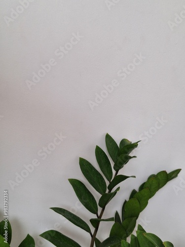 A straight green branch placed against a smooth grey concrete wall. Ideal for minimalistic illustrations or as a background
