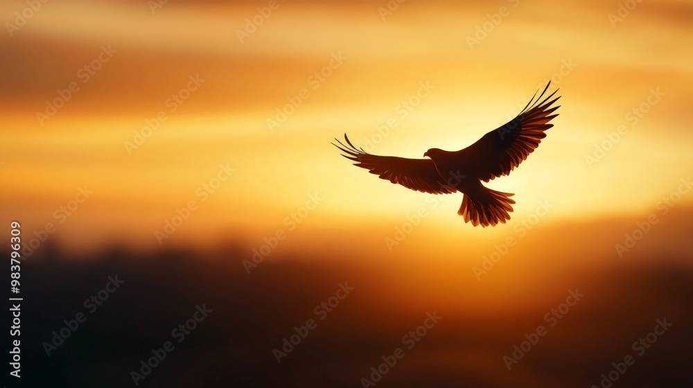 Obraz premium A lone bird flying high over an open landscape, its silhouette framed by the golden light of the setting sun